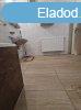 Elad 100 nm-es Csaldi hz Dabas
