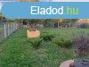 Elad 78 nm-es Csaldi hz Dabas