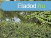 Elad 80 nm-es jszer llapot Csaldi hz Lipt