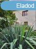 Elad csaldi hz rd, 	rd falu feljitand csaldi hz