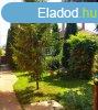 Elad csaldi hz Sndorfalva, 	Sndorfalvn csaldi hz ela