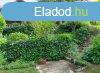 Elad csaldi hz Budars, 	Budars