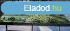 Elad csaldi hz Szigetmonostor, 	Gt utca