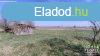 Elad Balstyai tanya