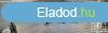 Elad 279 nm-es Csaldi hz Hdmezvsrhely   