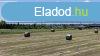 Elad Cserszegtomajon JPTS, 206 m2-es, BALATONI PANORM