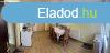 Elad 77 nm-es Feljtott Csaldi hz Nagyvenyim