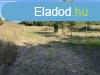 Elad 80 nm-es Csaldi hz Gyula