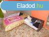 zlet s csaldi hz egyben! - ELAD CSALDI HZ HCS - Hcs
