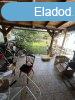 Elad 143 nm-es Feljtott Csaldi hz Hegyeshalom Kossuth L