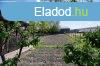 Elad csaldi hz Komdi kzpont