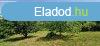 Elad 1428 nm-es Feljtott Csaldi hz Kesz