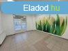 Kiad 140 nm-es Feljtott Csaldi hz Gyr