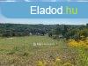 Elad Telek, Blvnyos