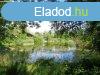 Elad fldterlet Pspkmolnri, 	Festetics Gyrgy utca