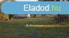 Elad Telek, Balatonfenyves