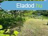 Elad 16 nm-es Csaldi hz Mr