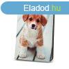 Univerzlis 9-10" kinyithat tablet tok (Kutya mints)