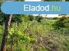 Kisaptiban rkpanorms zrtkert elad