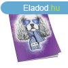 Fzet A4, 52lap, sima 60 g. papr, Educa
