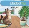Kukucs Knyvek - Itthon vagy, kisegr?