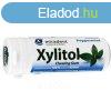 Xylitol rggumi borsmenta 30 db