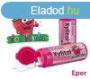 Xylitol kids gyermek rggumi eper z 30 db