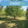 Elad telek Tata, 	Naszlyi t