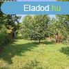Elad telek Tata, 	Naszlyi t