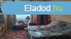 Elad 53 nm-es Csaldi hz Erk