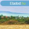 Balatoni Rivira ltvnya ezt ltni kell ! - Balatonakali