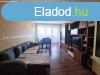 Elad 55 nm-es Feljtott Panellaks Mosonmagyarvr