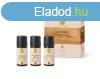 Primavera Ajndkcsomag Strenght & Calmness (Aroma Sauna