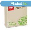 Fato Szalvta 33x33cm mints Natural Style 2 rteg 50 lap/cs