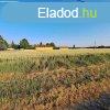 KIVTELES LEHETSG! Balatonszabadiban PTSI TELEK J RON
