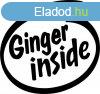 Ginger inside - autmatrica, autdekor