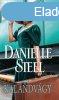 Danielle Steel: Kalandvgy