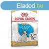 Royal Canin Jack Russell Terrier Puppy 500 g