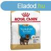 Royal Canin Yorkshire Terrier Puppy 1,5 kg