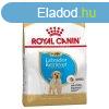 Royal Canin Labrador Retriever Puppy 3 kg