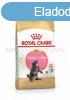 Royal Canin Maine Coon KITTEN 2 kg