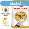 Royal Canin Ragdoll ADULT 2 kg