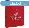 Windows SQL Server 2017 Standard