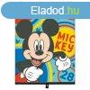 Aut ablakra rnykol rol 1 db - Mickey