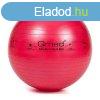 Fizioball gimnasztikai labda 55 cm Qmed - piros