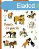 PNIK S PACIK - KALANDOS ENCIKLOPDIA