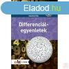 DIFFERENCILEGYENLETEK