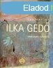 THE ART OF ILKA GED