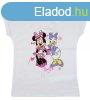 Disney Minnie s Daisy kacsa lnyka pl