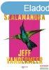 Jeff VanderMeer - Kolibri szalamandra